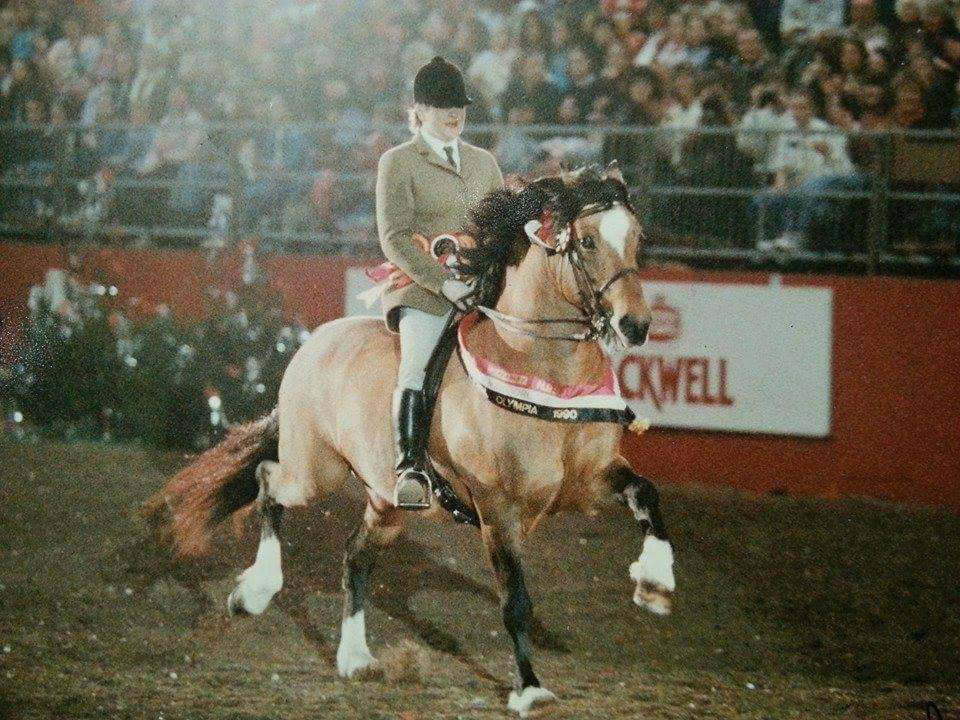 Verwood Roger, Ridden by Miss. N. Stephens winning at Olympia